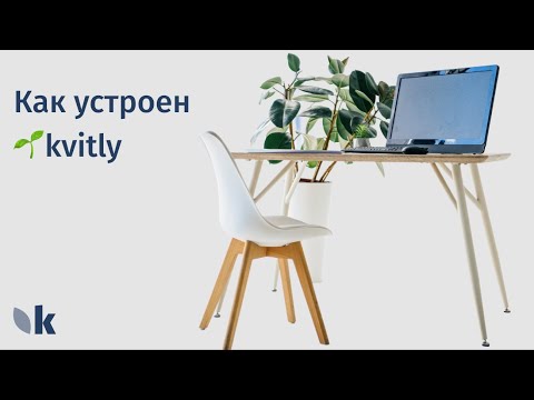 Как устроен  🌱kvitly