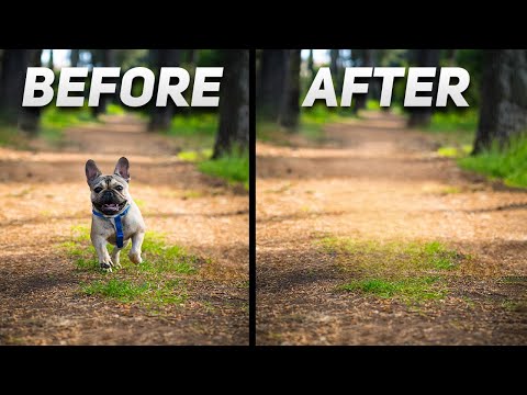 Remove ANYTHING From Your Photos Using AI For FREE (SnapEdit)